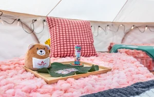 Yippee Daylite - Backyard furnished glamping bell tent birthday party in Tacoma