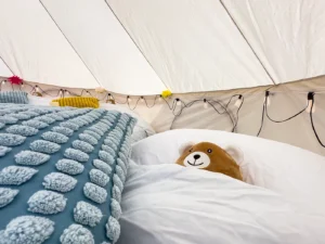 3984 Glamping backyard birthday party rental for adolescents in Washington